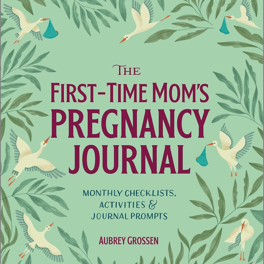 New "The First-Time Mom's Pregnancy Journal"